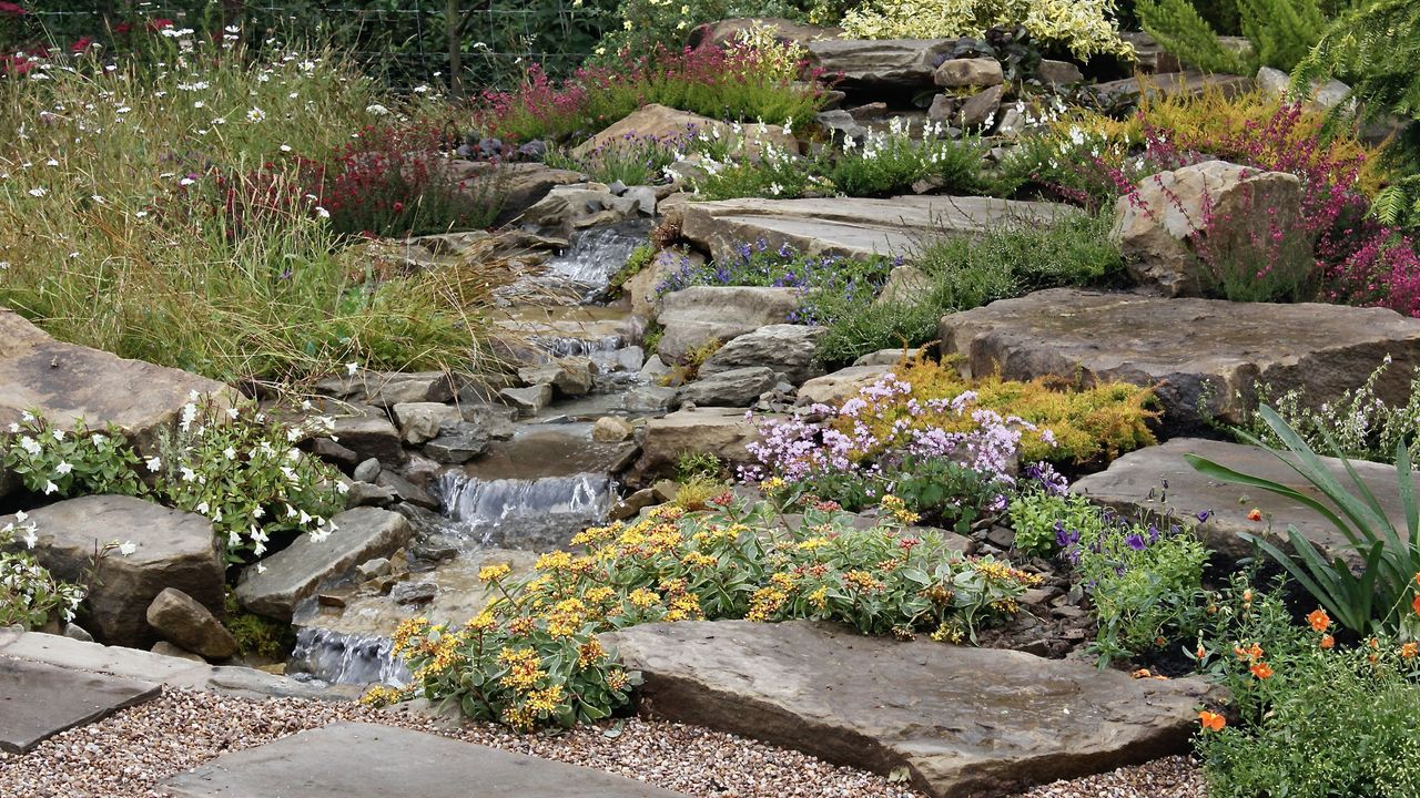 Rock Garden Plants